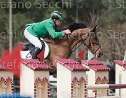 Govoni Winn Winn TosTour 2013- S4 6481 : Arezzo Equestrian Centre, Govoni Gianni, Toscana Tour 2013, Winn Winn, foto di Stefano Secchi ©